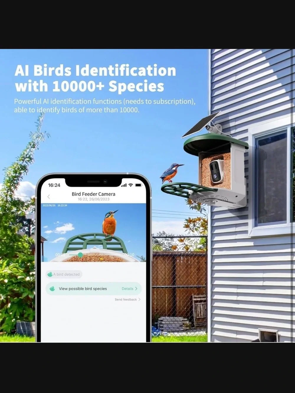 Haymor Green Solar Bird Feeder with Camera New In Box #M2859